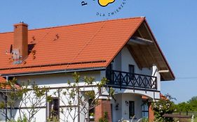 Storczykowe Wzgórze